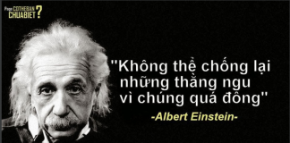 Không thể chống lại những thằng ngu vì chúng quá đông