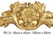 Tác dụng của cây đinh lăng Phu-dieu-mat-tien
