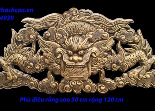 phu-dieu-rong-120-50-cm